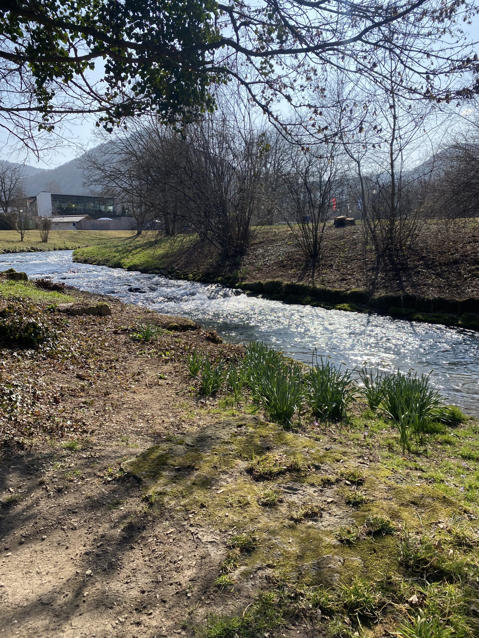 Erms im Kurpark