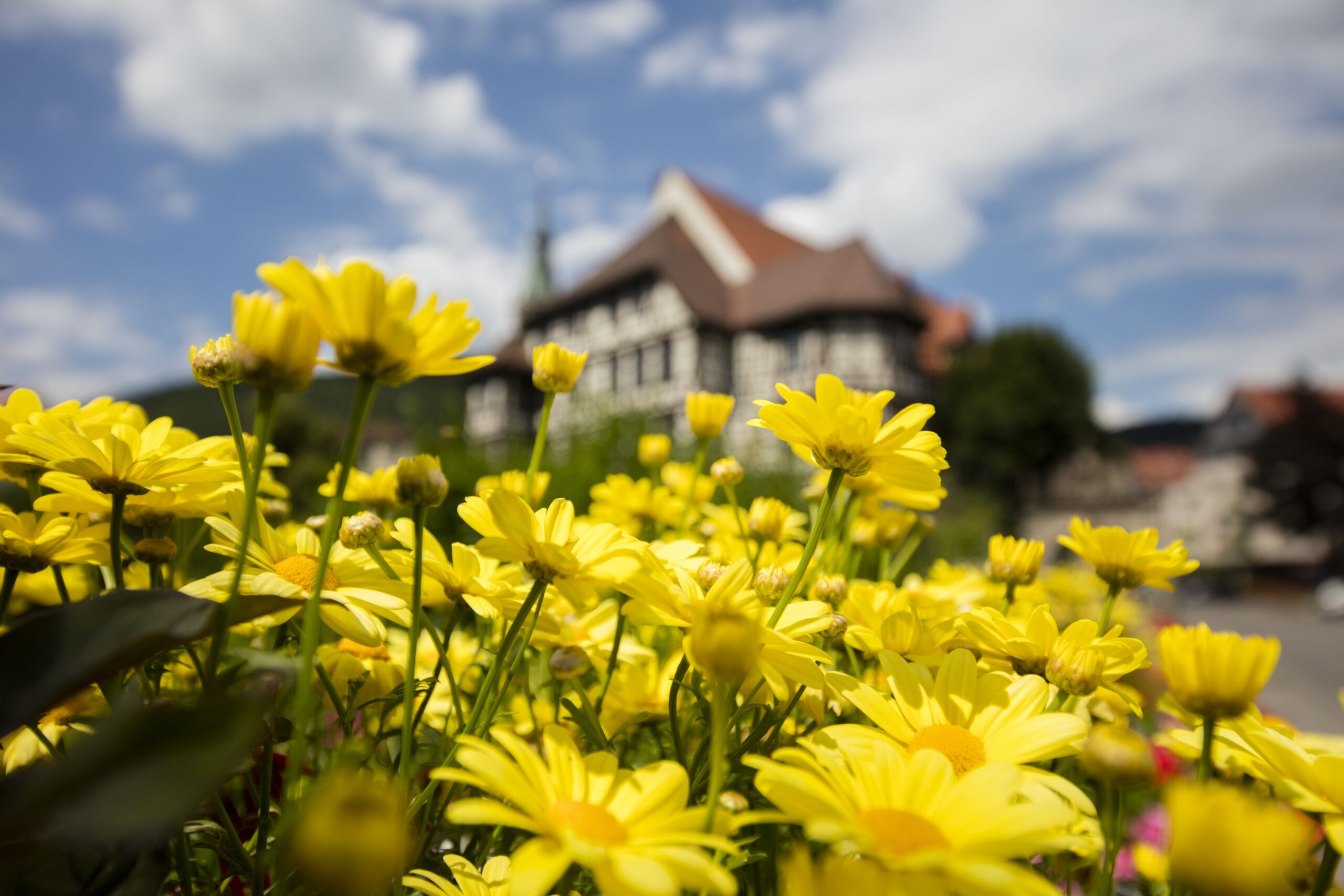 Residenzschloss Bad Urach mit Blumen, B28 Bad Urach, Ausbau der Knotenpunkte „Wasserfall“ und „Hochhaus“