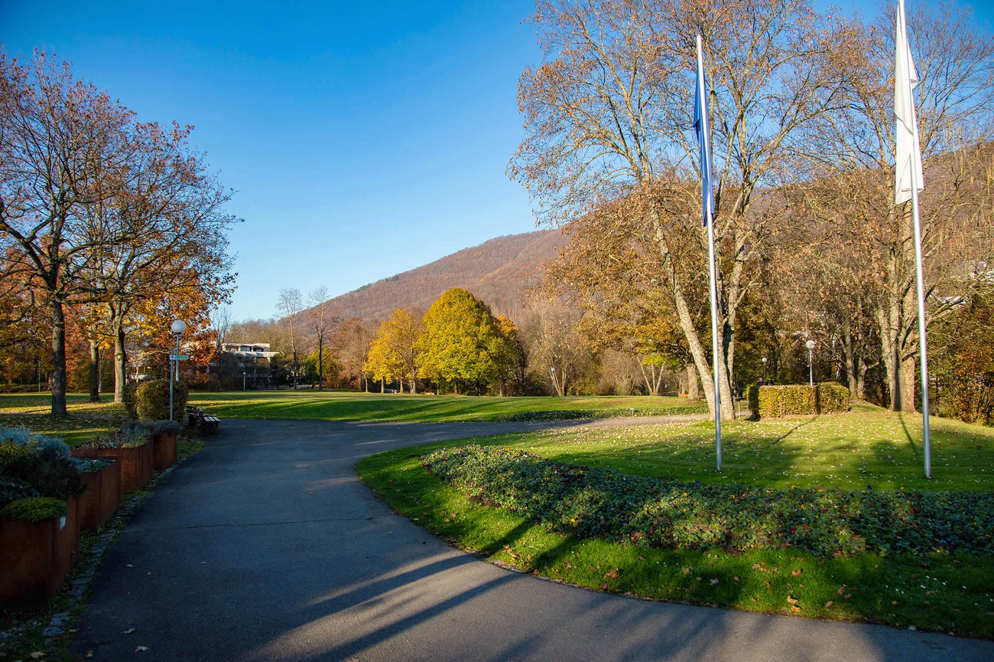 Kurpark vor Beginn der Bauarbeiten, Blick zur Kurwiese