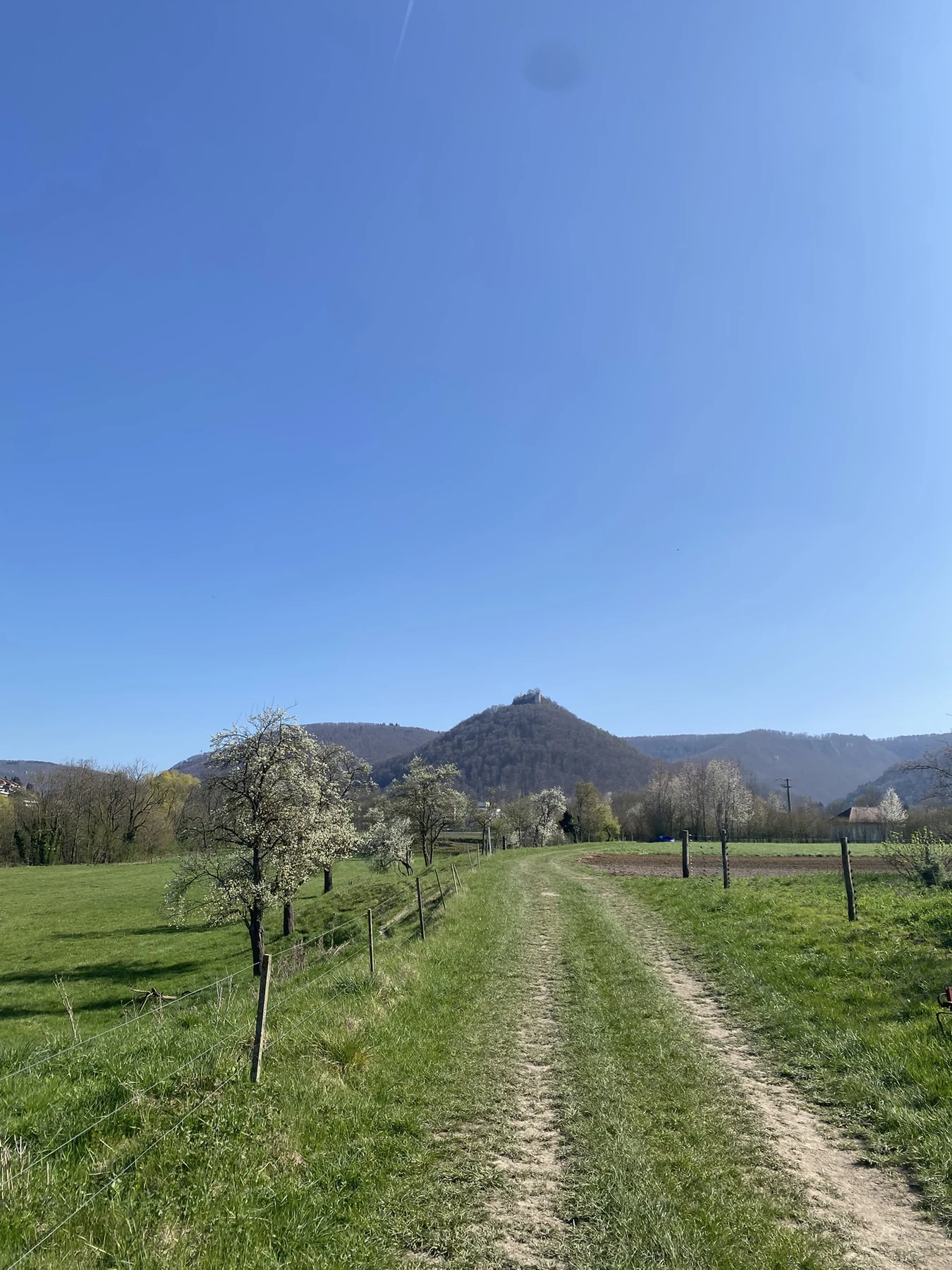 Gelungener erster Themenspaziergang im Rahmen der Gartenschau, Blick zum Hohen Urach