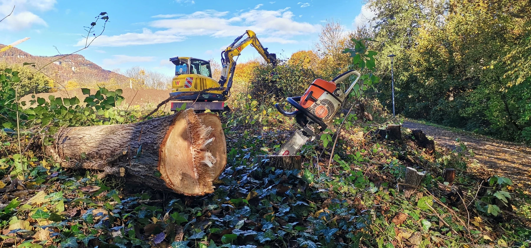 Vorbereitende Arbeiten für die Gartenschau gehen planmäßig weiter, Rodung am alten Wohnmobilstellplatz