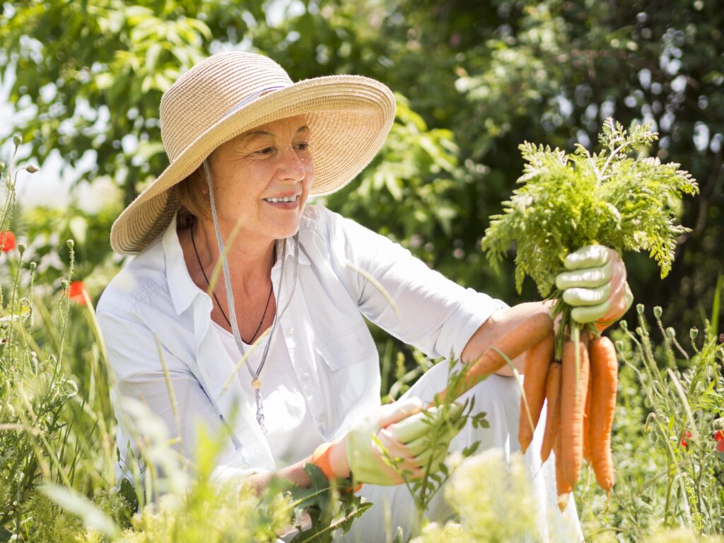 Land und Leben, Bauersfrau mit Möhren